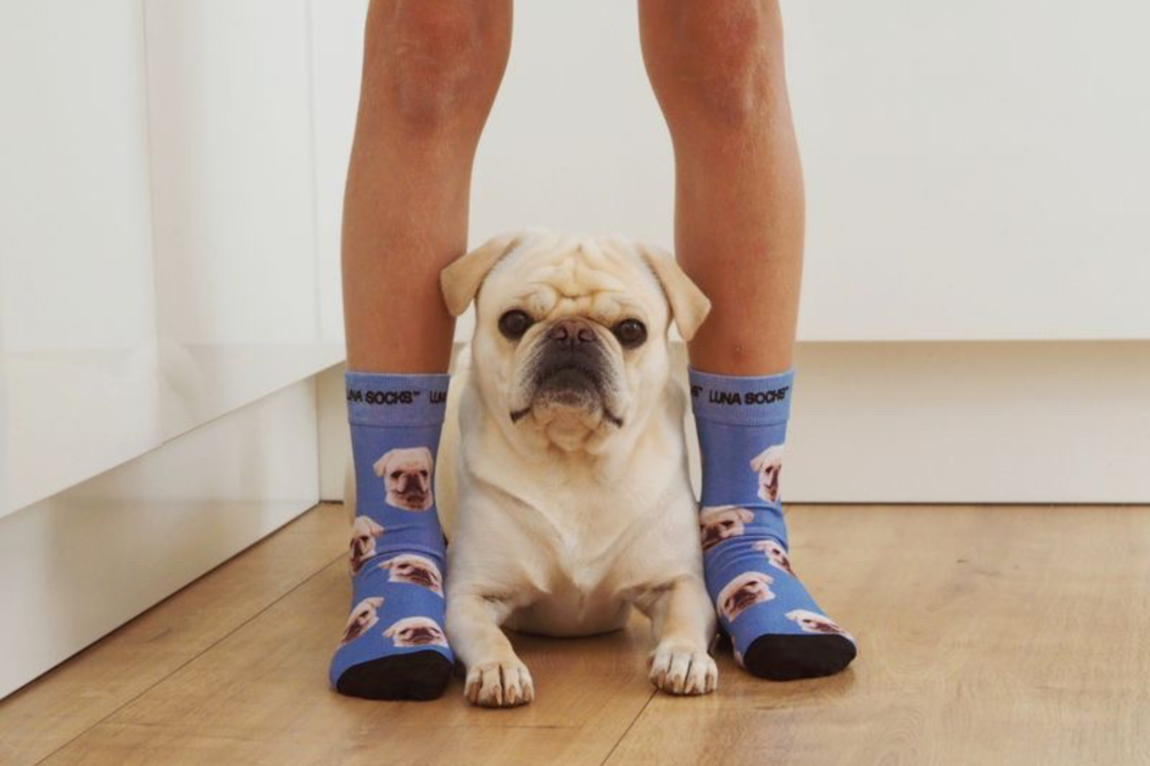 Das Perfekte Geschenk für Hundeliebhaber: Personalisierte Socken