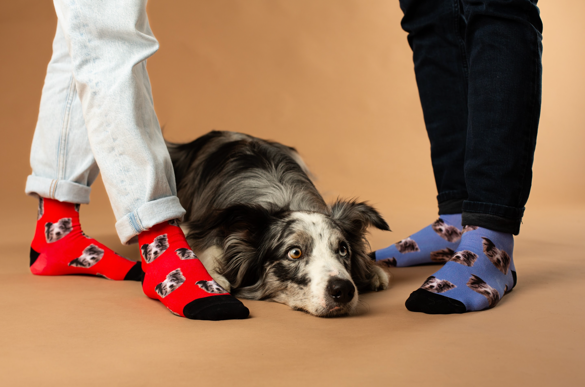 Foto auf Socken: Luna Socks bringt Ihre Haustiere auf Ihre Socken