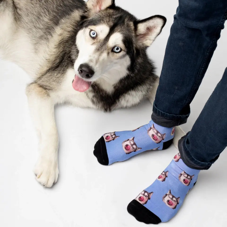 Personalisierte Socken von Luna Socks und ein Husky, der auf die Socken gedruckt wurde