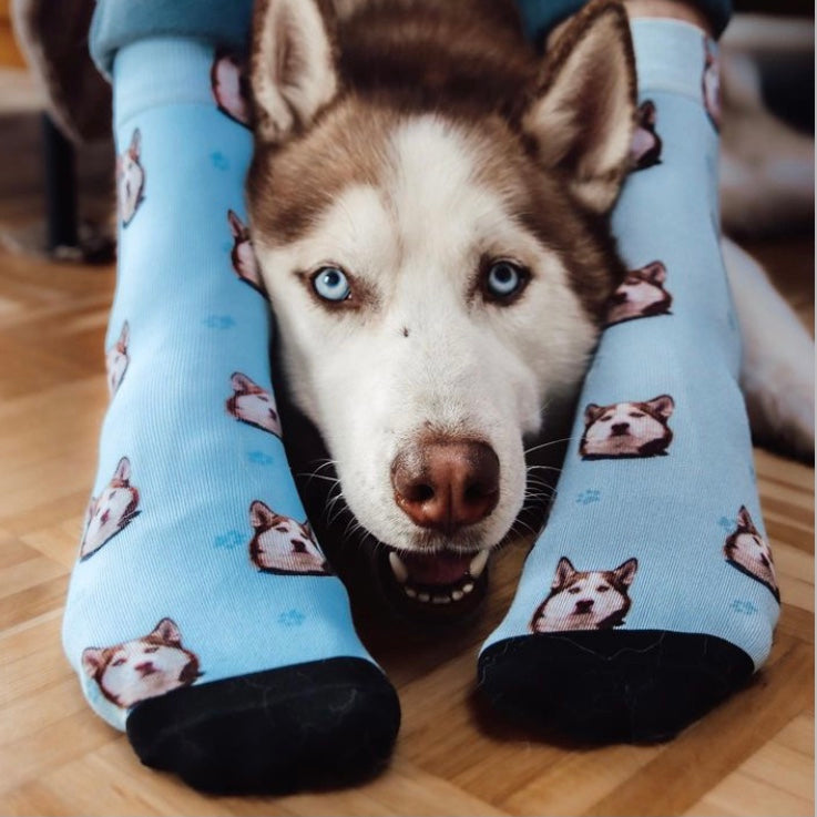 Personalisierte Socken mit einem Bild von einem Husky von Luna Socks