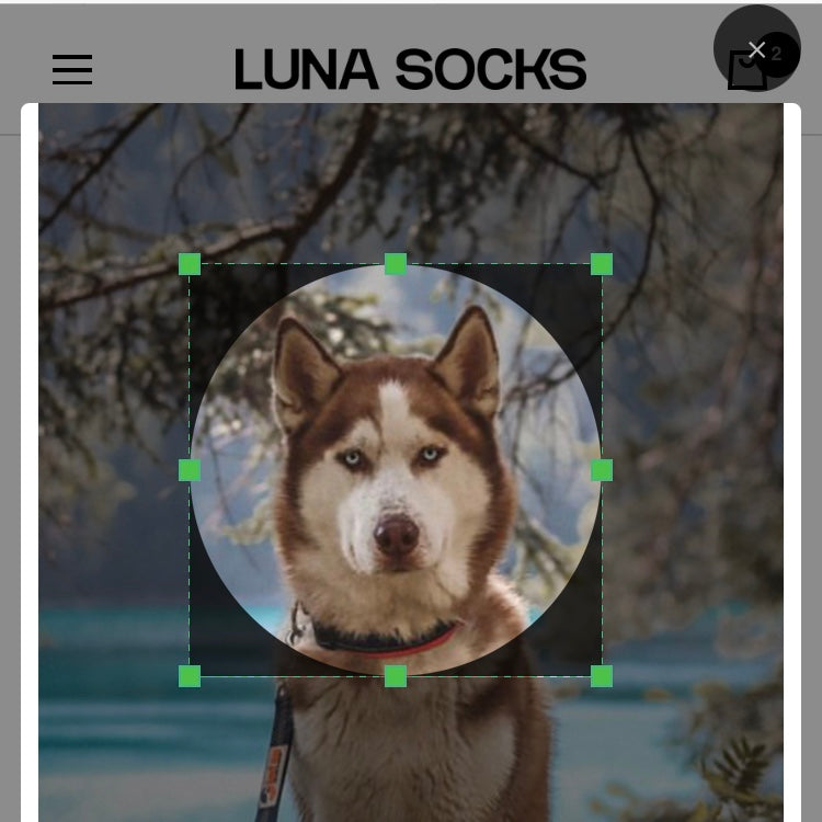 Konfigurator schneidet den Hintergrund weg, um das Foto des Hundes auf Socken zu drucken